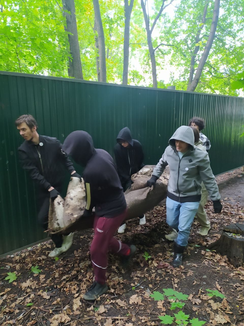 Процесс очистки